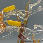 Trophée plongée - Trophée d’art en verre - Plongeuse subaquatique et son binôme - Création 2004 - Rhénald Lecomte - Art Verrier